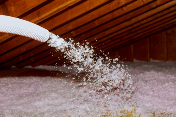 Best Commercial Insulation in Canton, IL