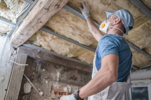 Best DIY Insulation Kits and Guidance in Canton, IL