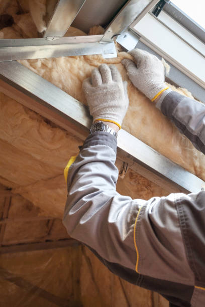 Best Specialized Insulation Services in Canton, IL