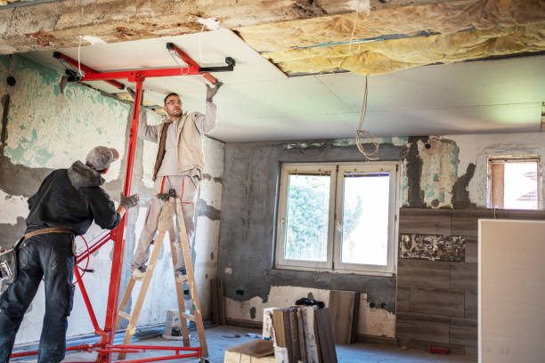 Best Eco-Friendly Insulation in Canton, IL