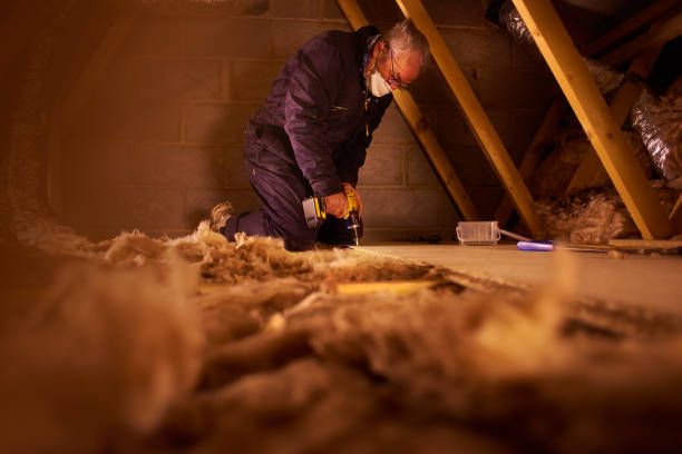 Best Specialized Insulation Services in Canton, IL